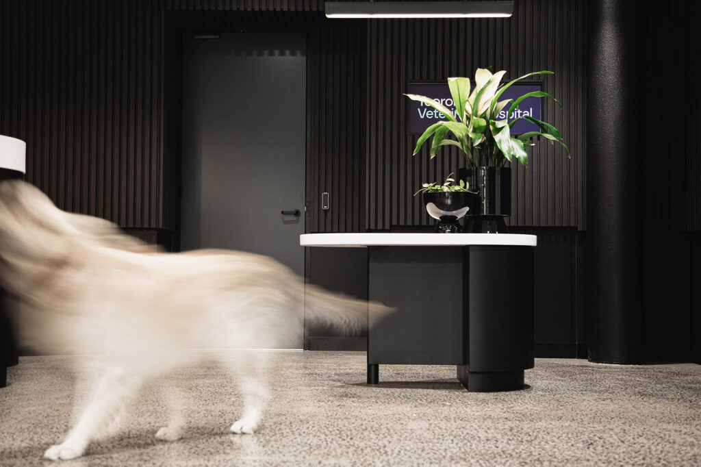 Tooronga Veterinary Hospital